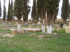 TELAGH LE CIMETIERE 14